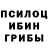 Псилоцибиновые грибы Psilocybine cubensis Grasl Vp
