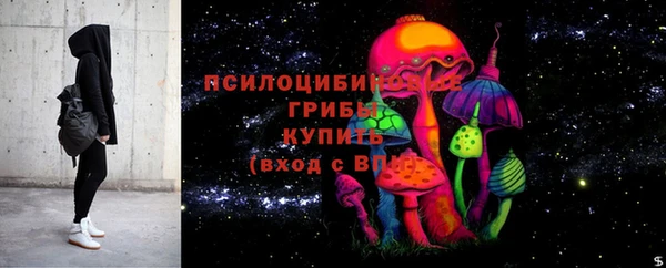 индика Баксан