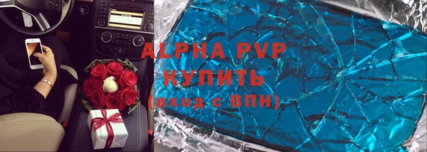 индика Баксан