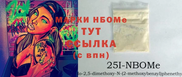 индика Баксан