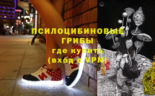 индика Баксан